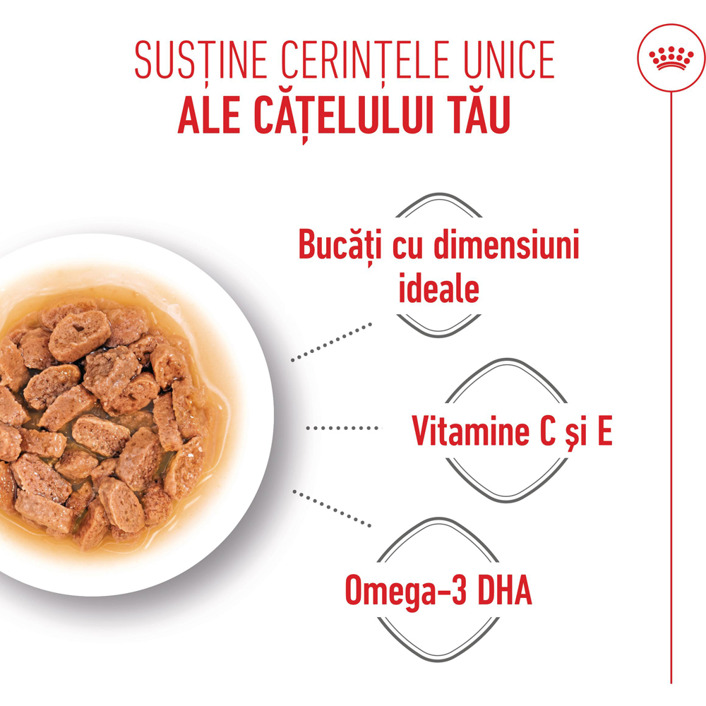 Hrana umeda pentru caini ROYAL CANIN SHN Mini Gravy, Junior, 85 g