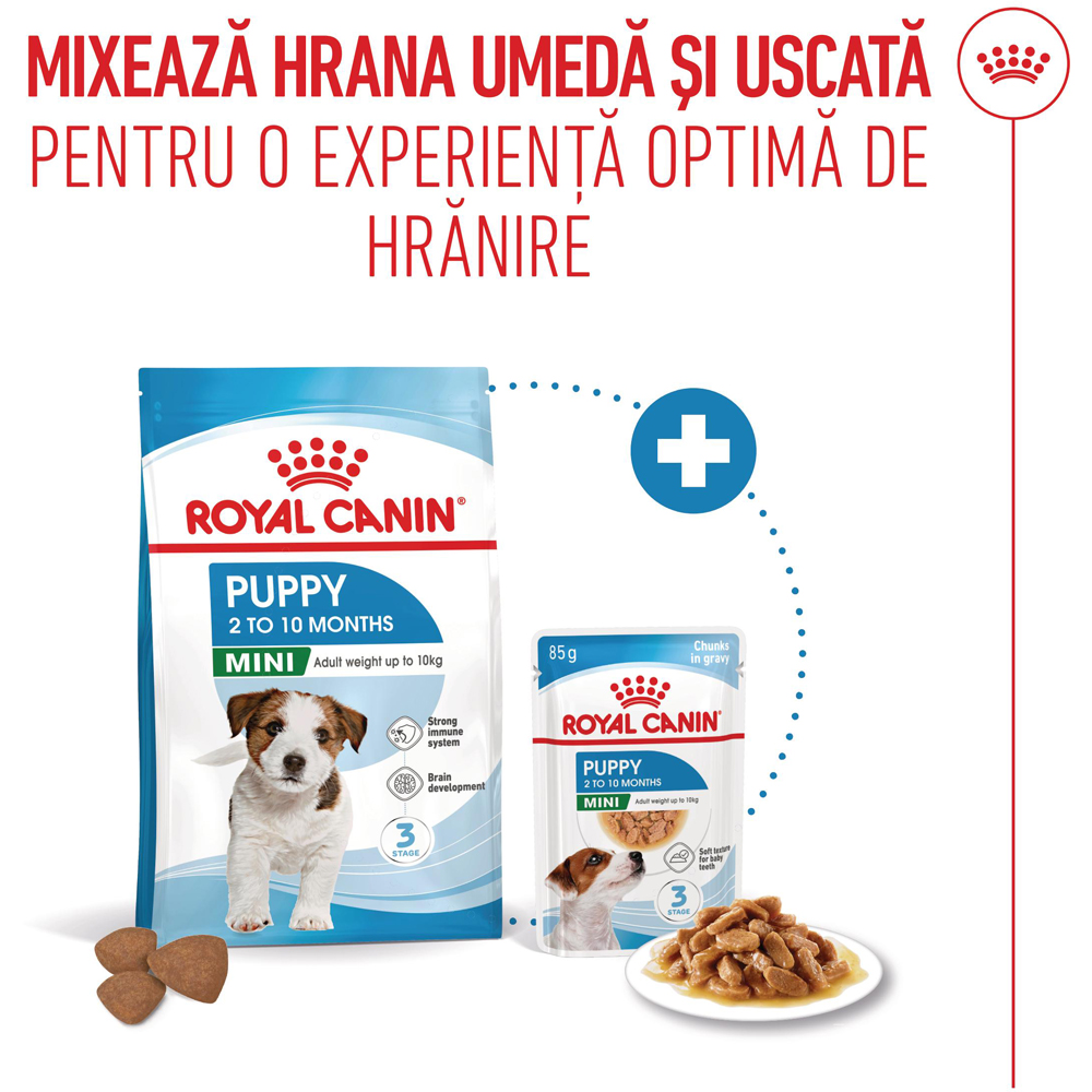 Hrana umeda pentru caini ROYAL CANIN SHN Mini Gravy, Junior, 85 g