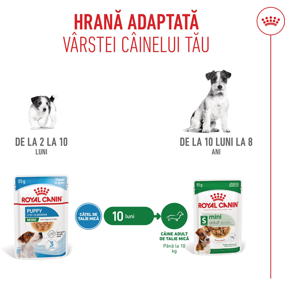 Hrana umeda pentru caini ROYAL CANIN SHN Mini Gravy, Junior, 85 g