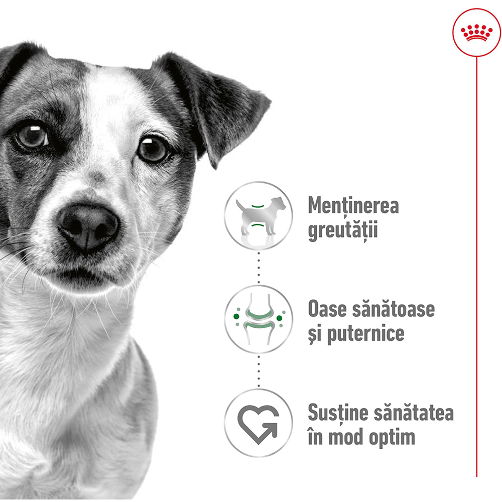 Hrana umeda pentru caini ROYAL CANIN SHN Mini Gravy, Adult, 85 g