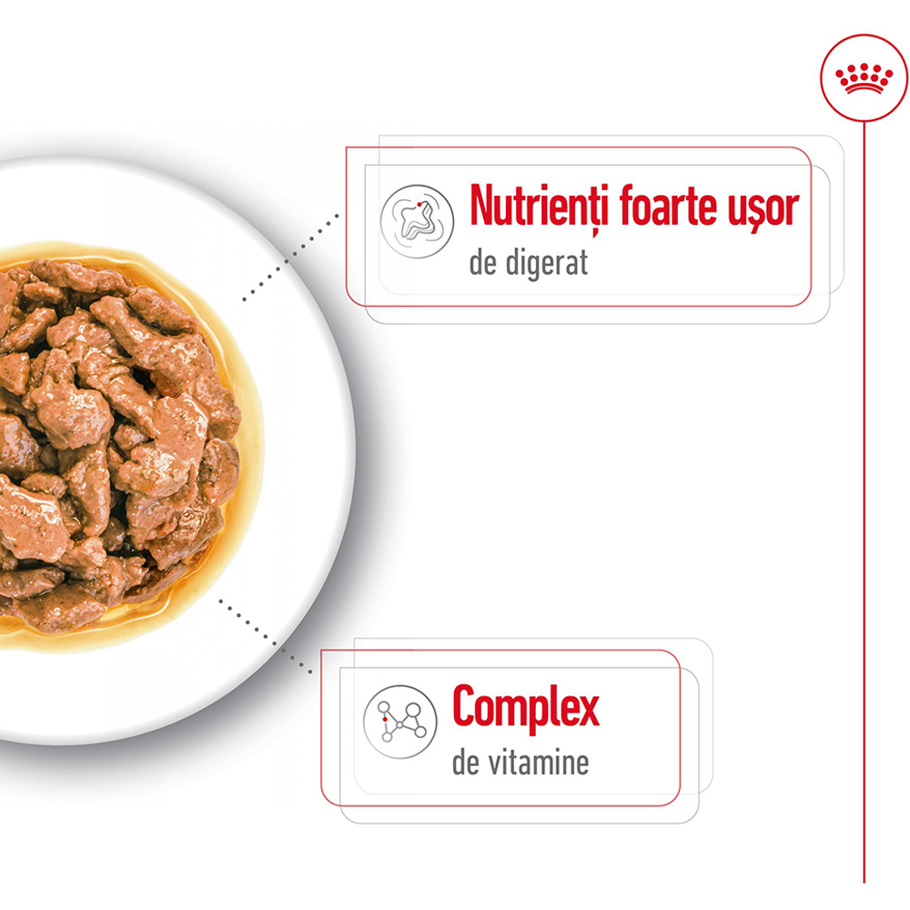 Hrana umeda pentru caini ROYAL CANIN SHN Mini Gravy, Adult, 85 g