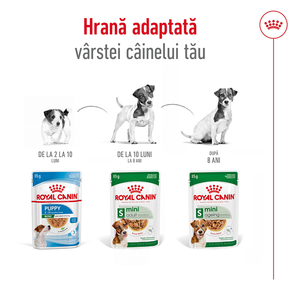 Hrana umeda pentru caini ROYAL CANIN SHN Mini Gravy, Adult, 85 g