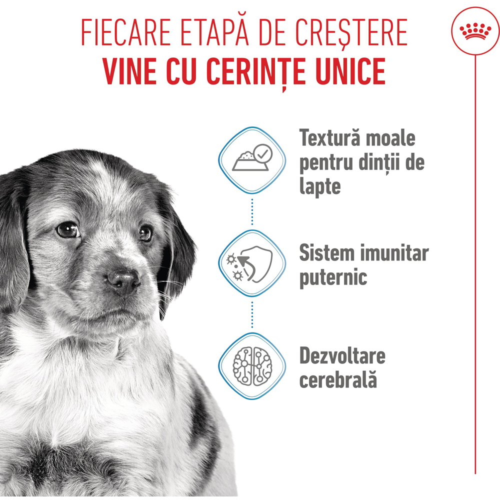 Hrana umeda pentru caini ROYAL CANIN SHN Medium Gravy, Junior, 140 g