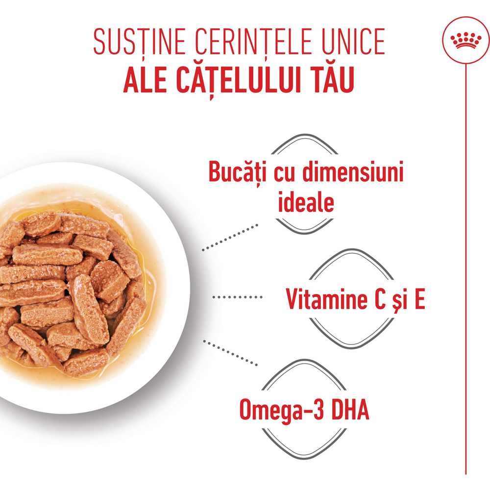 Hrana umeda pentru caini ROYAL CANIN SHN Medium Gravy, Junior, 140 g