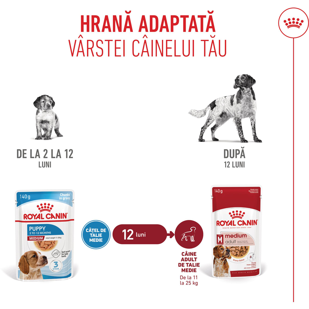 Hrana umeda pentru caini ROYAL CANIN SHN Medium Gravy, Junior, 140 g