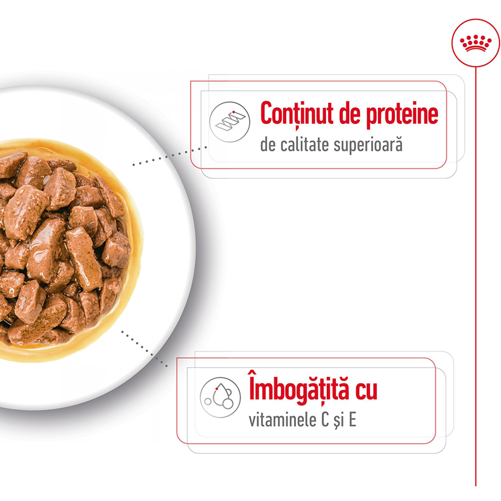 Hrana umeda pentru caini ROYAL CANIN SHN Medium Gravy, Adult, 140 g