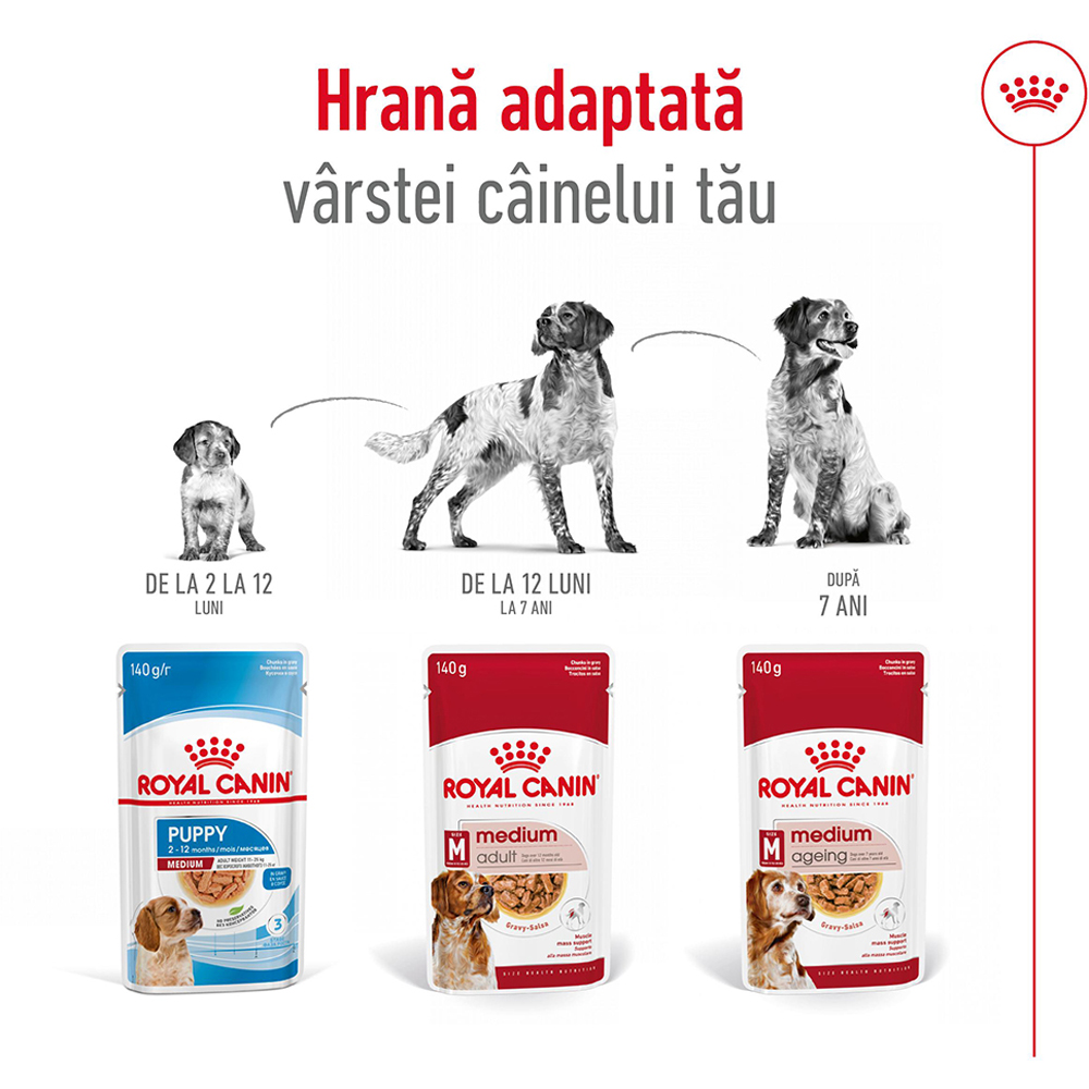 Hrana umeda pentru caini ROYAL CANIN SHN Medium Gravy, Adult, 140 g