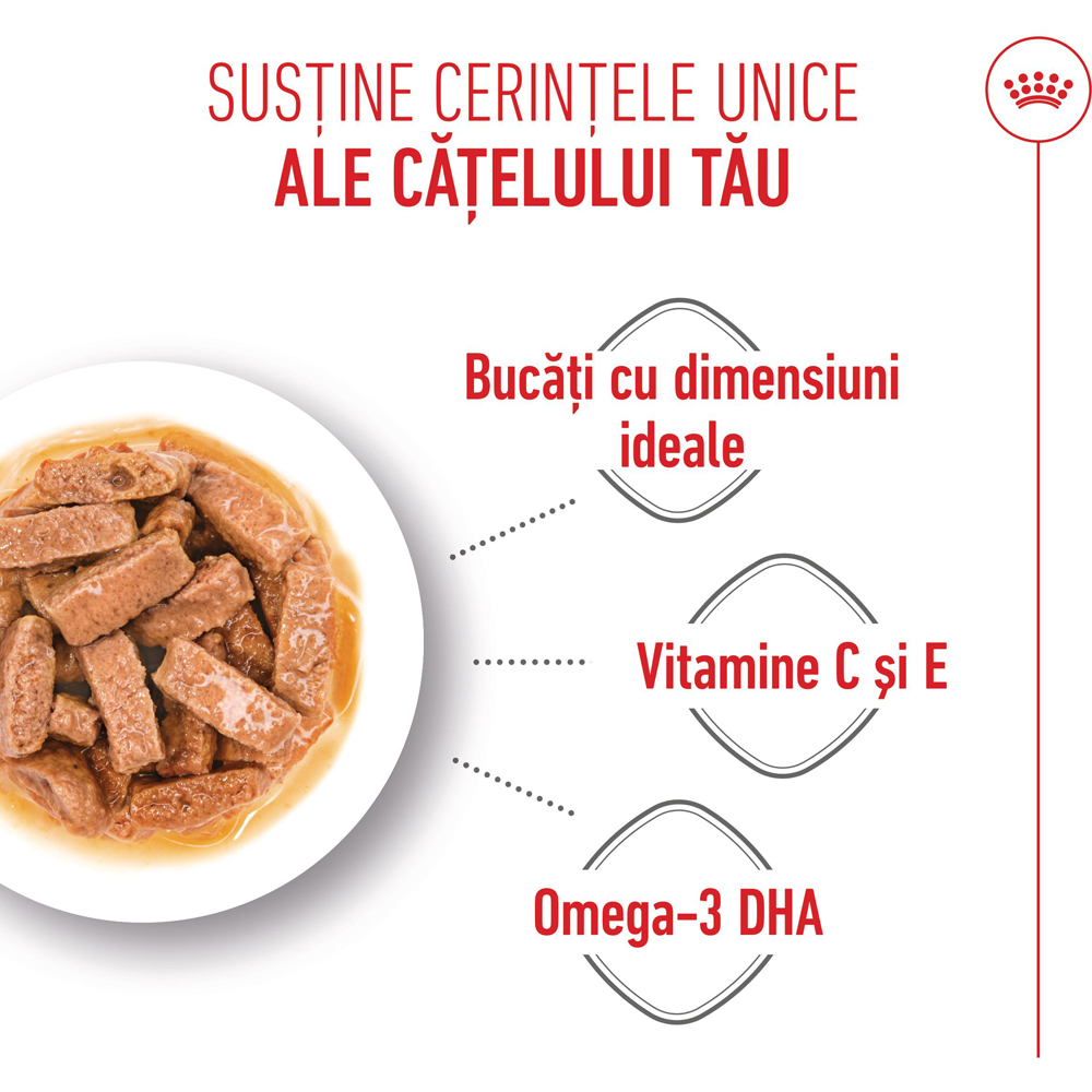 Hrana umeda pentru caini ROYAL CANIN SHN Maxi Gravy, Junior, 140 g