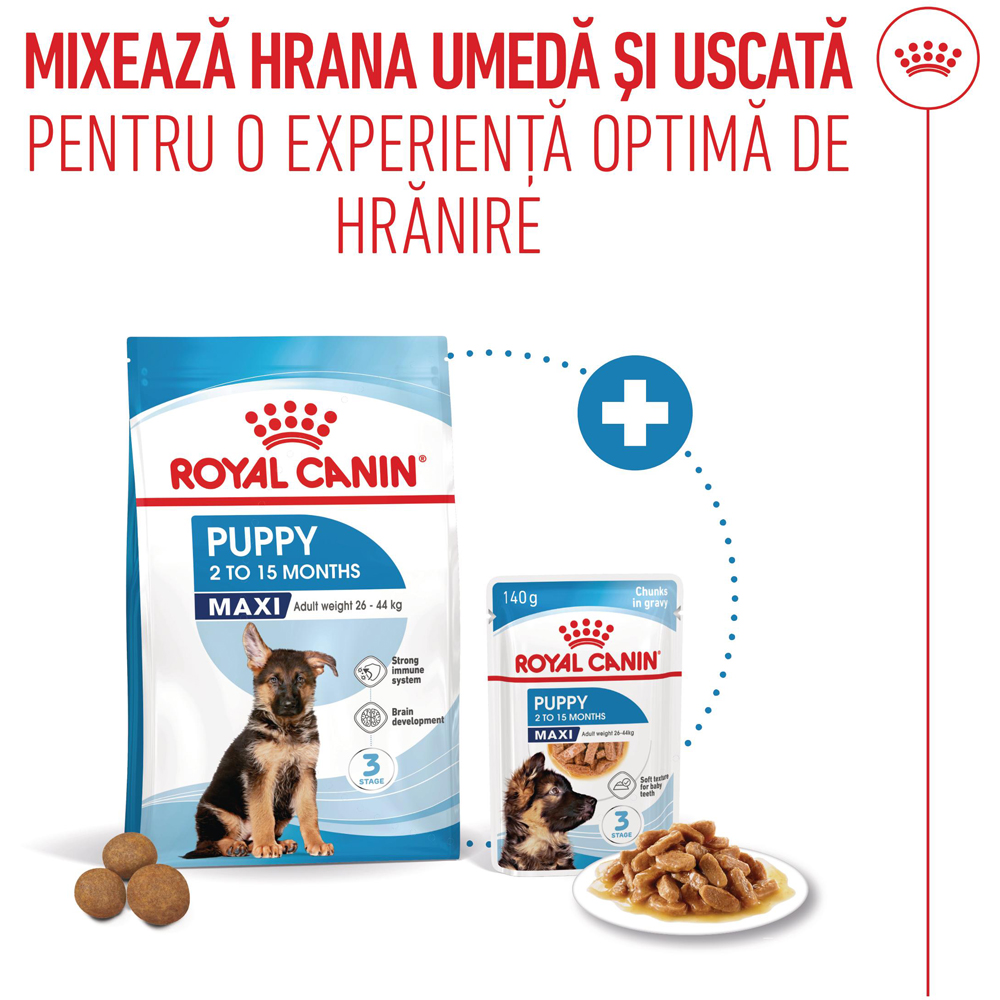 Hrana umeda pentru caini ROYAL CANIN SHN Maxi Gravy, Junior, 140 g