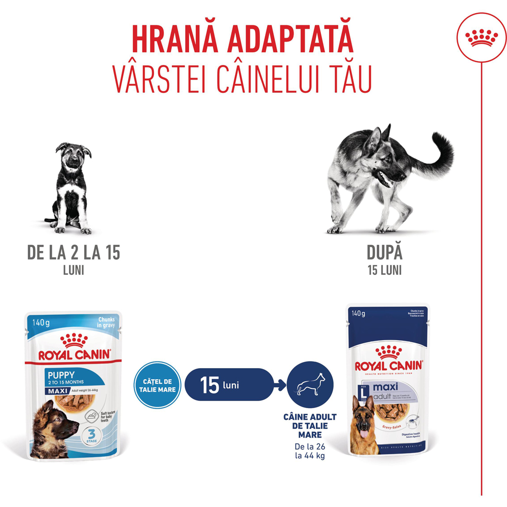 Hrana umeda pentru caini ROYAL CANIN SHN Maxi Gravy, Junior, 140 g