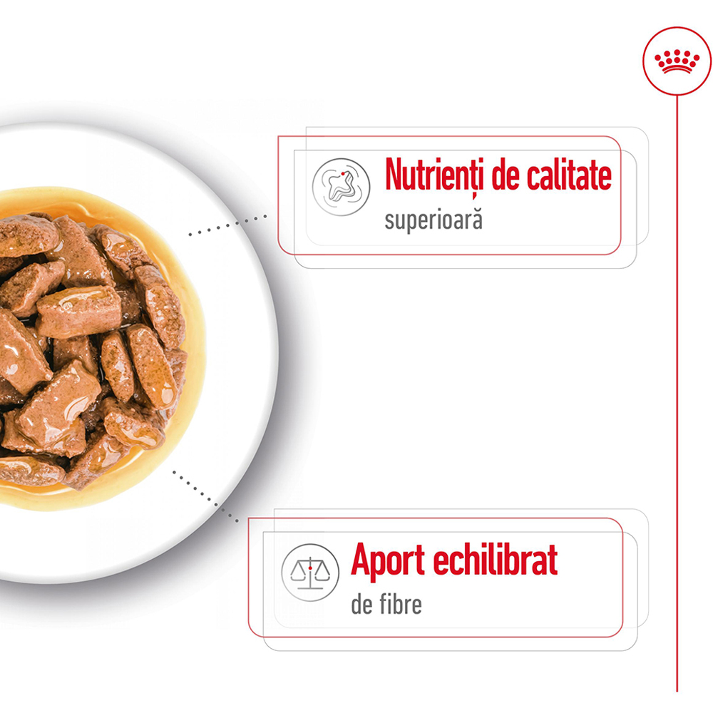 Hrana umeda pentru caini ROYAL CANIN SHN Maxi Gravy, Adult, 140 g