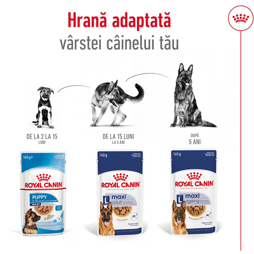 Hrana umeda pentru caini ROYAL CANIN SHN Maxi Gravy, Adult, 140 g
