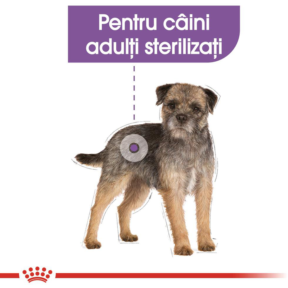 Hrana umeda pentru caini ROYAL CANIN CCN Sterilized, Adult, 85 g