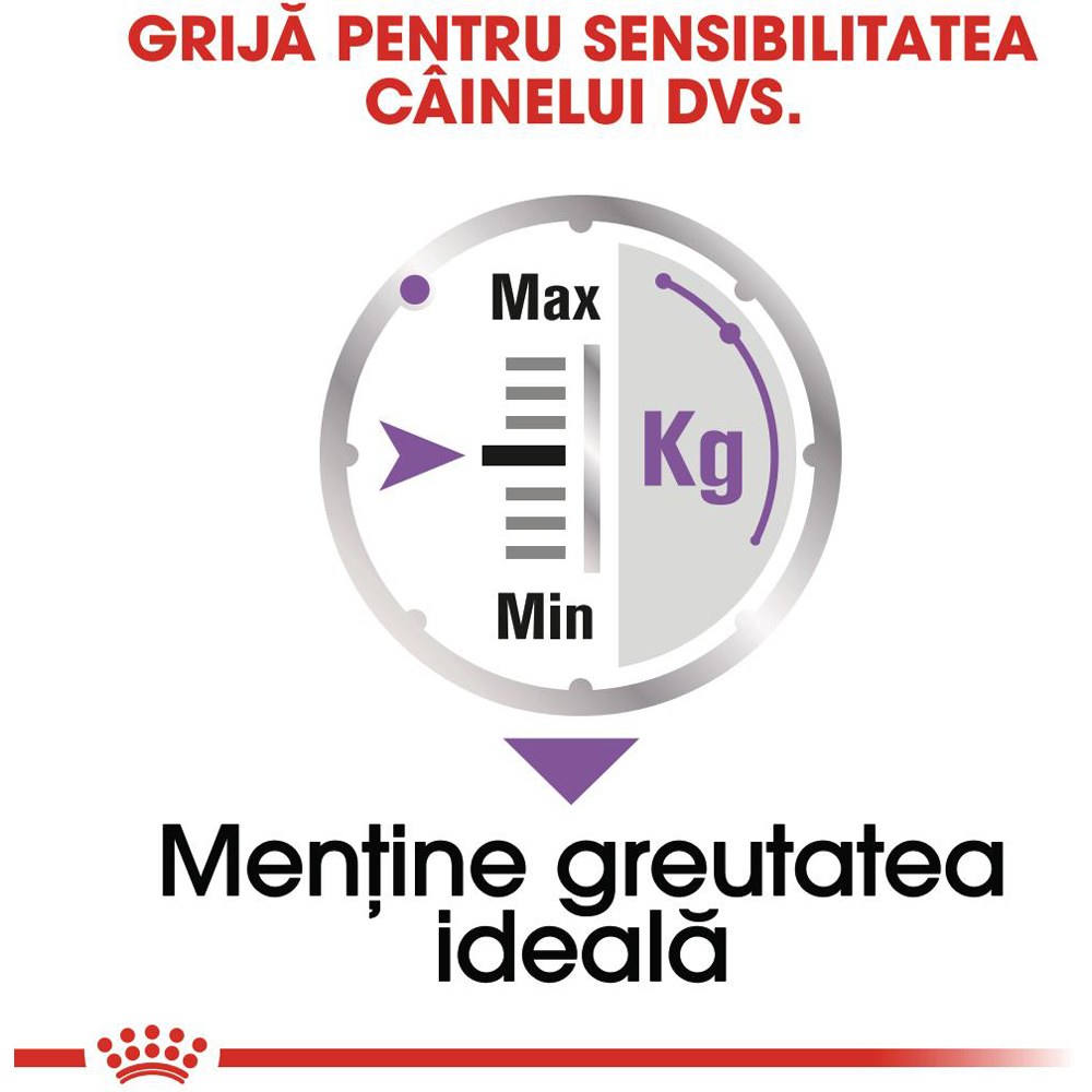 Hrana umeda pentru caini ROYAL CANIN CCN Sterilized, Adult, 85 g