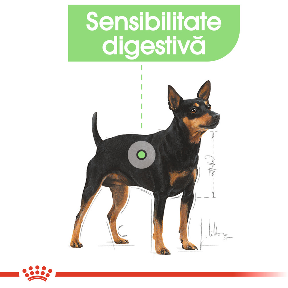 Hrana umeda pentru caini ROYAL CANIN CCN Digestive Care, Adult, 85 g