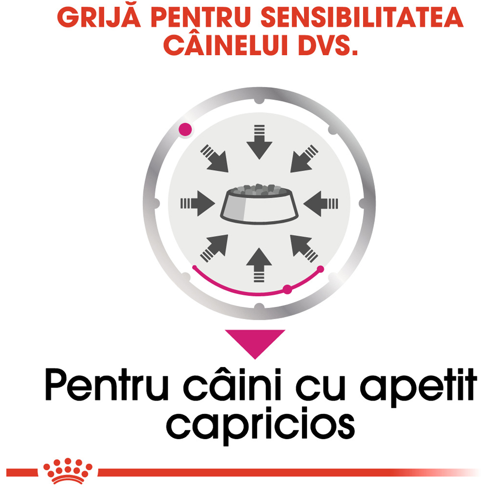 Hrana umeda pentru caini ROYAL CANIN CCN Exigent, Adult, 85 g