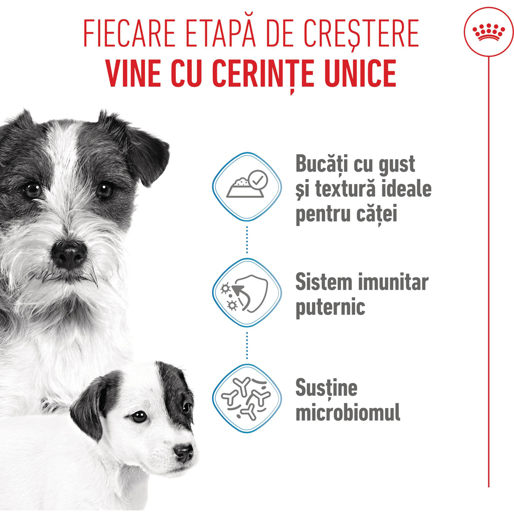 Hrana umeda pentru caini ROYAL CANIN SHN Starter Mousse, Junior, 195 g