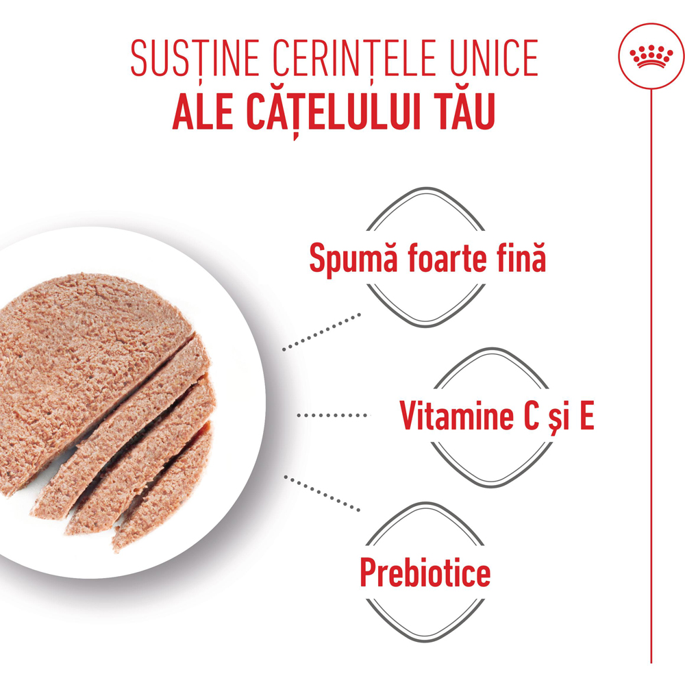 Hrana umeda pentru caini ROYAL CANIN SHN Starter Mousse, Junior, 195 g