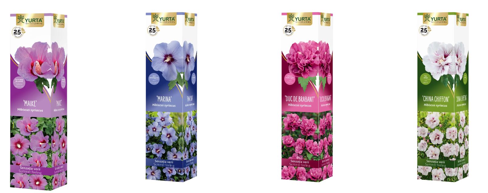 Arbusti Ornamentali Hibiscus Premium