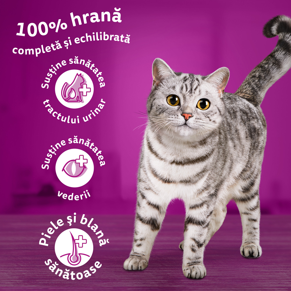 Hrana uscata pentru pisici WHISKAS, Adult, Ton, 1.4 kg