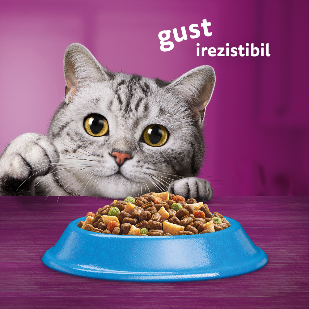 Hrana uscata pentru pisici WHISKAS, Adult, Ton, 1.4 kg