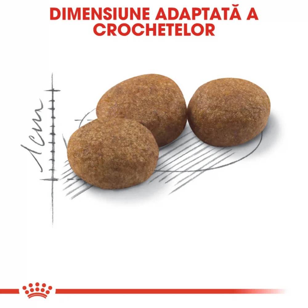 Hrana uscata pentru pisici ROYAL CANIN FHN Sterilised, Adult, Pasare, 2 kg
