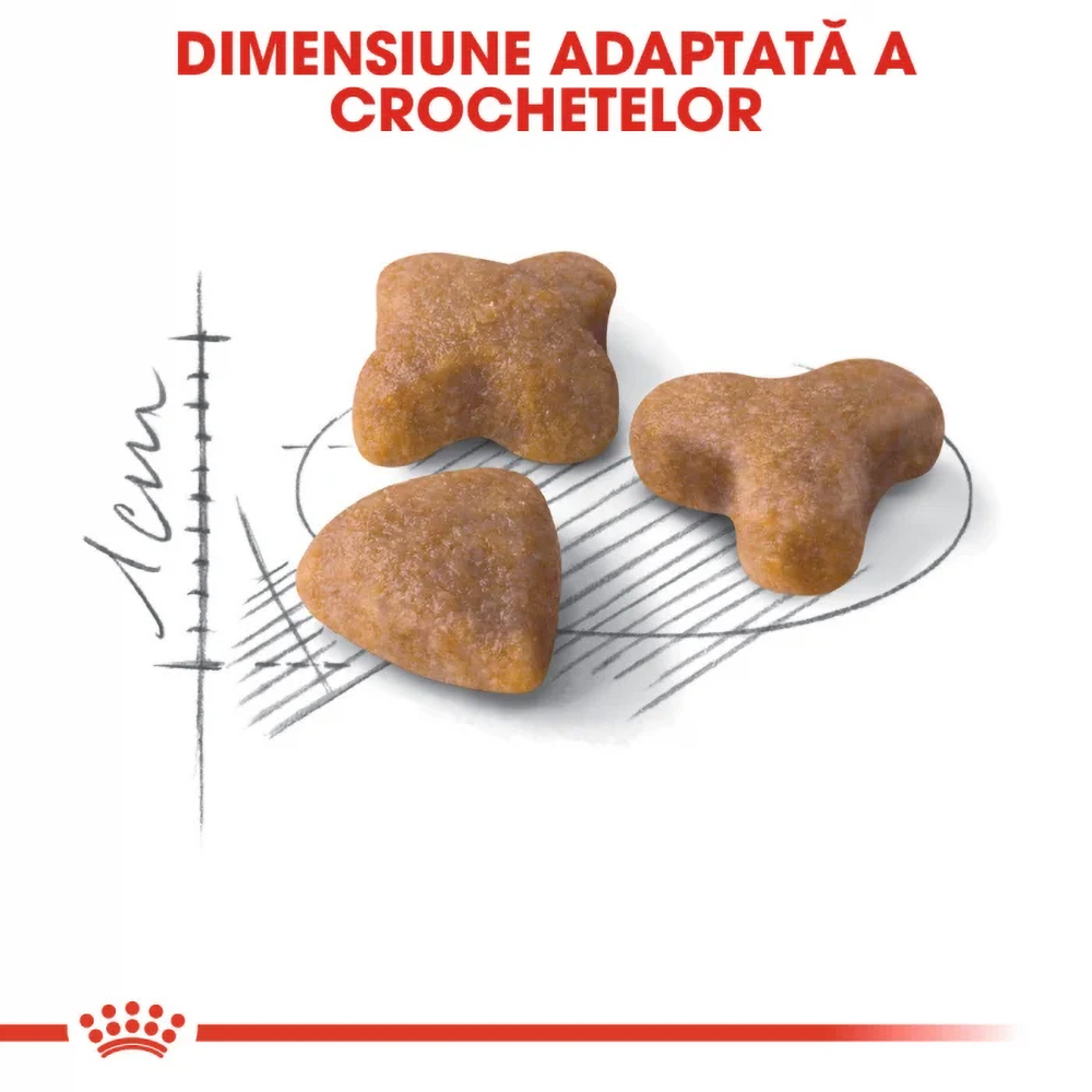 Hrana uscata pentru pisici ROYAL CANIN FHN Sensible, Adult, Pasare, 2 kg