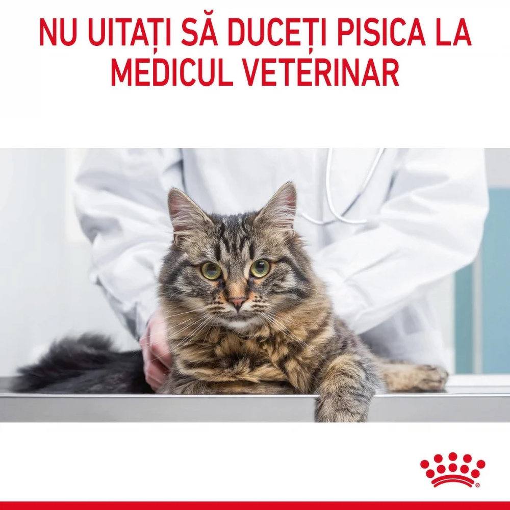 Hrana uscata pentru pisici ROYAL CANIN FCN Urinary Care, Adult, Pasare, 2 kg