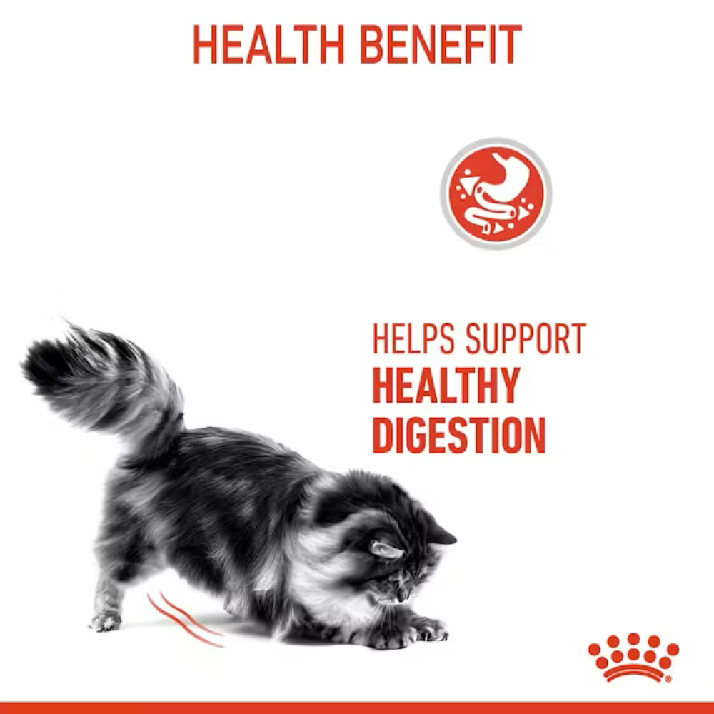 Hrana uscata pentru pisici ROYAL CANIN FCN Digestive Care, Adult, Mix, 2 kg