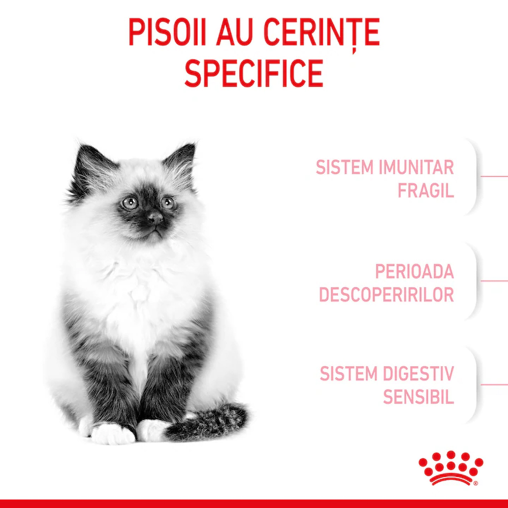 Hrana uscata pentru pisici ROYAL CANIN FHN Kitten, Junior, Pasare, 2 kg