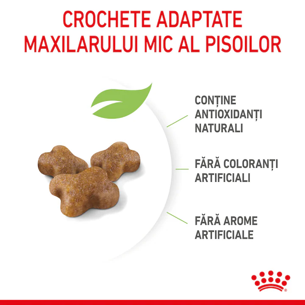 Hrana uscata pentru pisici ROYAL CANIN FHN Kitten, Junior, Pasare, 2 kg