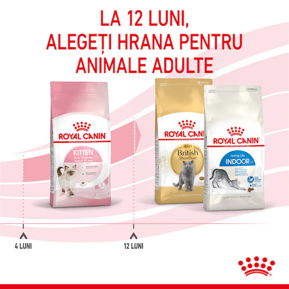 Hrana uscata pentru pisici ROYAL CANIN FHN Kitten, Junior, Pasare, 4 kg