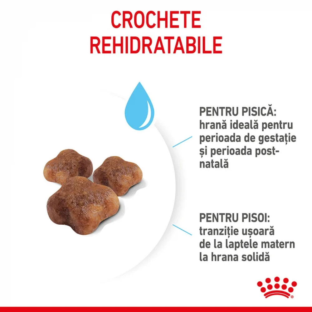 Hrana uscata pentru pisici ROYAL CANIN FHN Mother & Babycat, Adult, Pasare, 2 kg