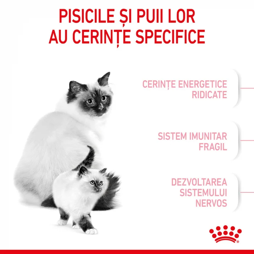 Hrana uscata pentru pisici ROYAL CANIN FHN Mother & Babycat, Adult, Pasare, 2 kg