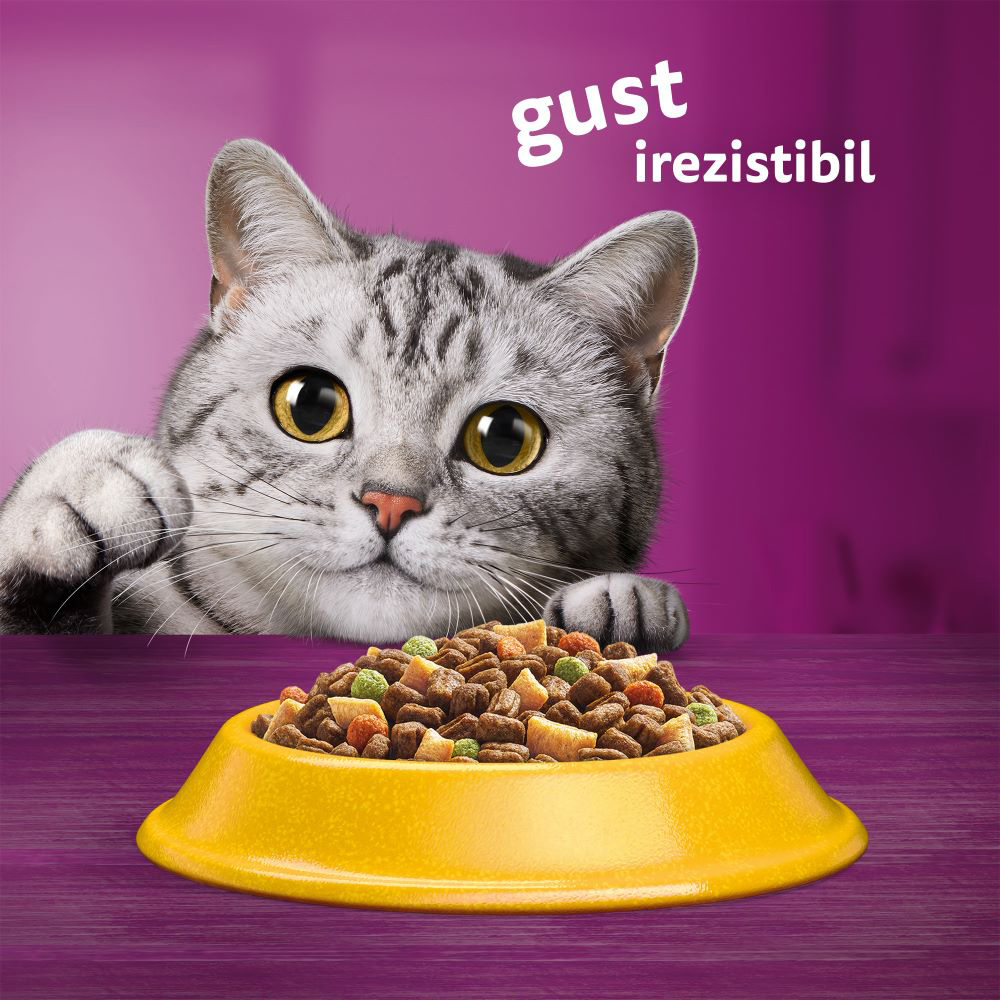Hrana uscata pentru pisici WHISKAS, Adult, pui, 1.4 Kg