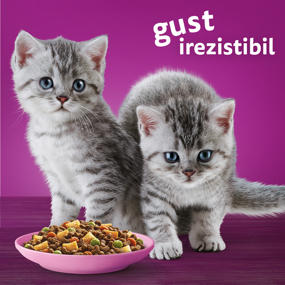 Hrana uscata pentru pisici WHISKAS, Junior, Pui, 1.4 kg