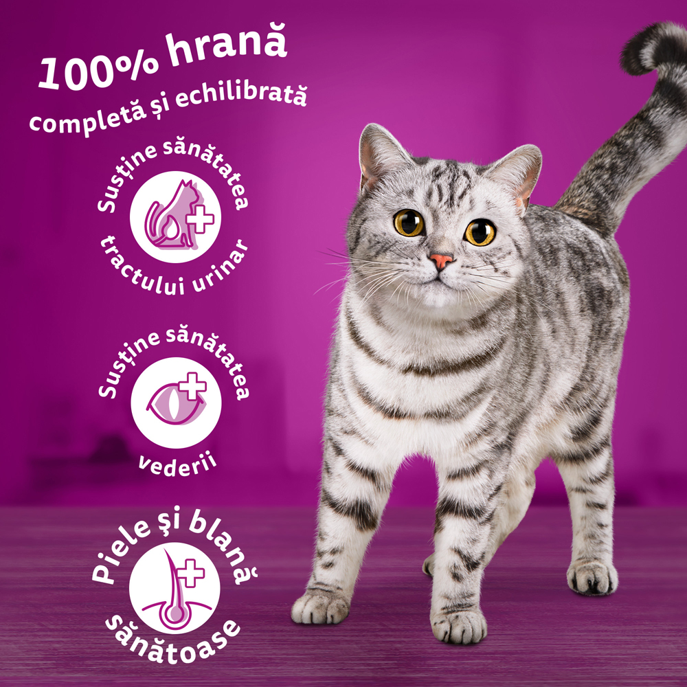 Hrana uscata pentru pisici WHISKAS, Sterile, Somon, 1.4 kg