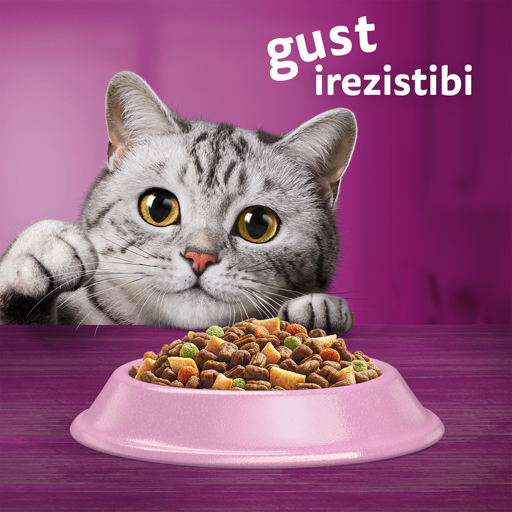 Hrana uscata pentru pisici WHISKAS, Sterile, Somon, 1.4 kg