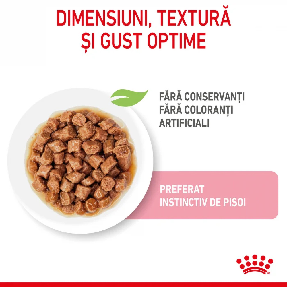Hrana umeda pentru pisici ROYAL CANIN FHN Kitten, Junior, Mix in sos, 12 x 85g