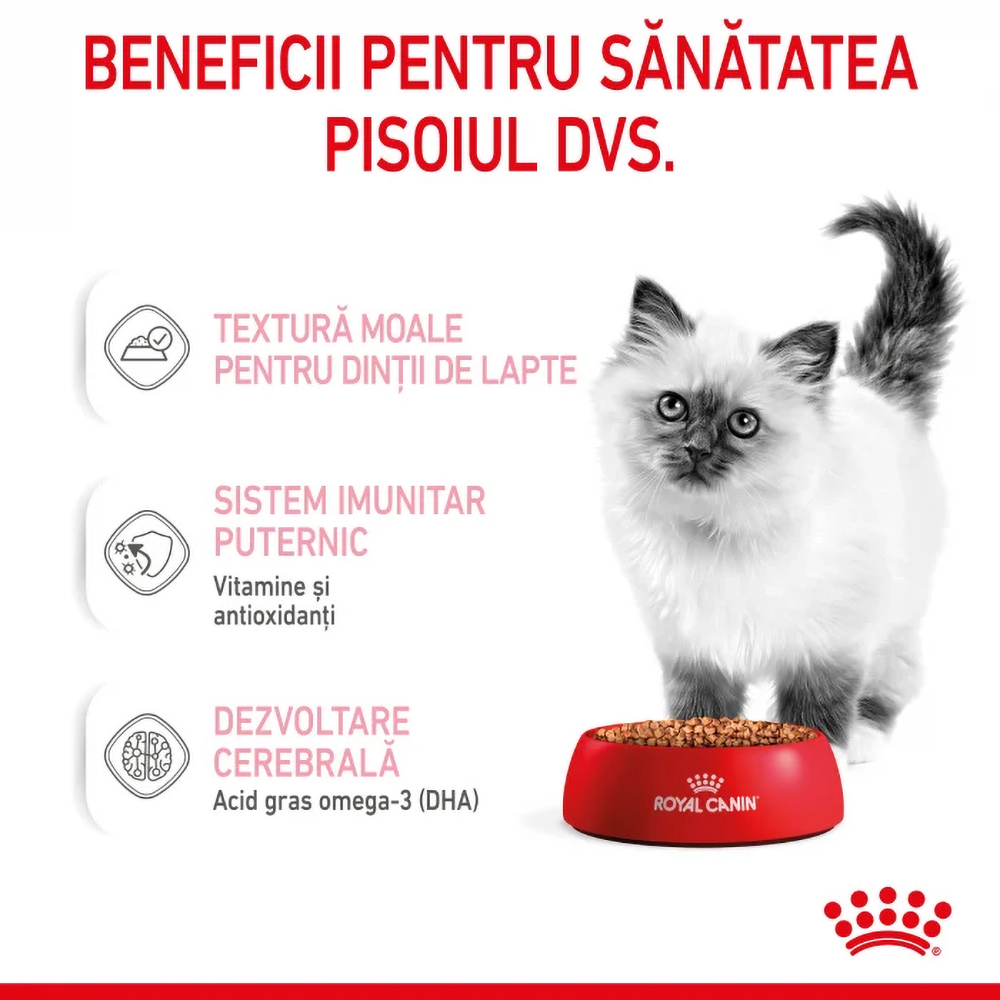 Hrana umeda pentru pisici ROYAL CANIN FHN Kitten, Junior, Mix in sos, 12 x 85g