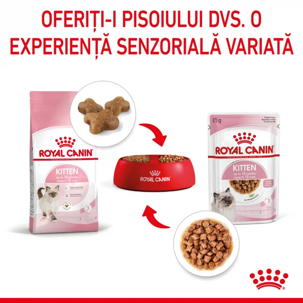 Hrana umeda pentru pisici ROYAL CANIN FHN Kitten, Junior, Mix in sos, 12 x 85g