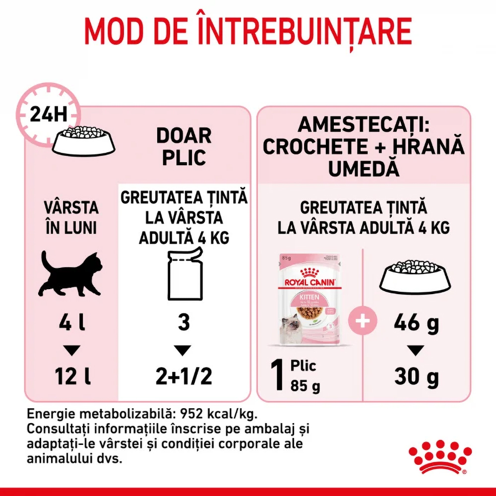 Hrana umeda pentru pisici ROYAL CANIN FHN Kitten, Junior, Mix in sos, 12 x 85g