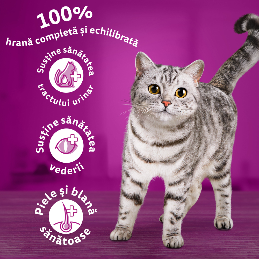 Hrana uscata pentru pisici WHISKAS, Adult, Vita, 14 kg