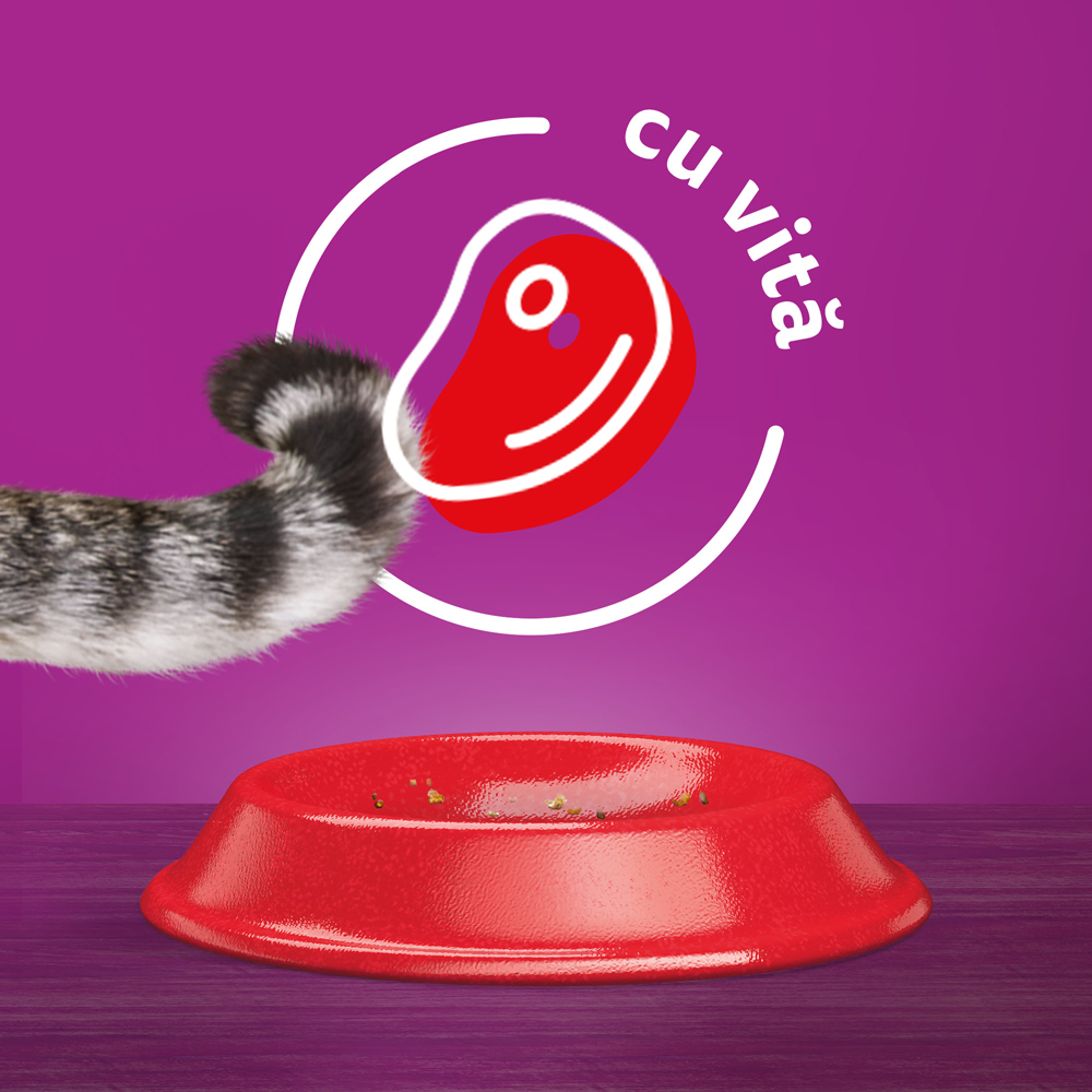 Hrana uscata pentru pisici WHISKAS, Adult, Vita, 14 kg