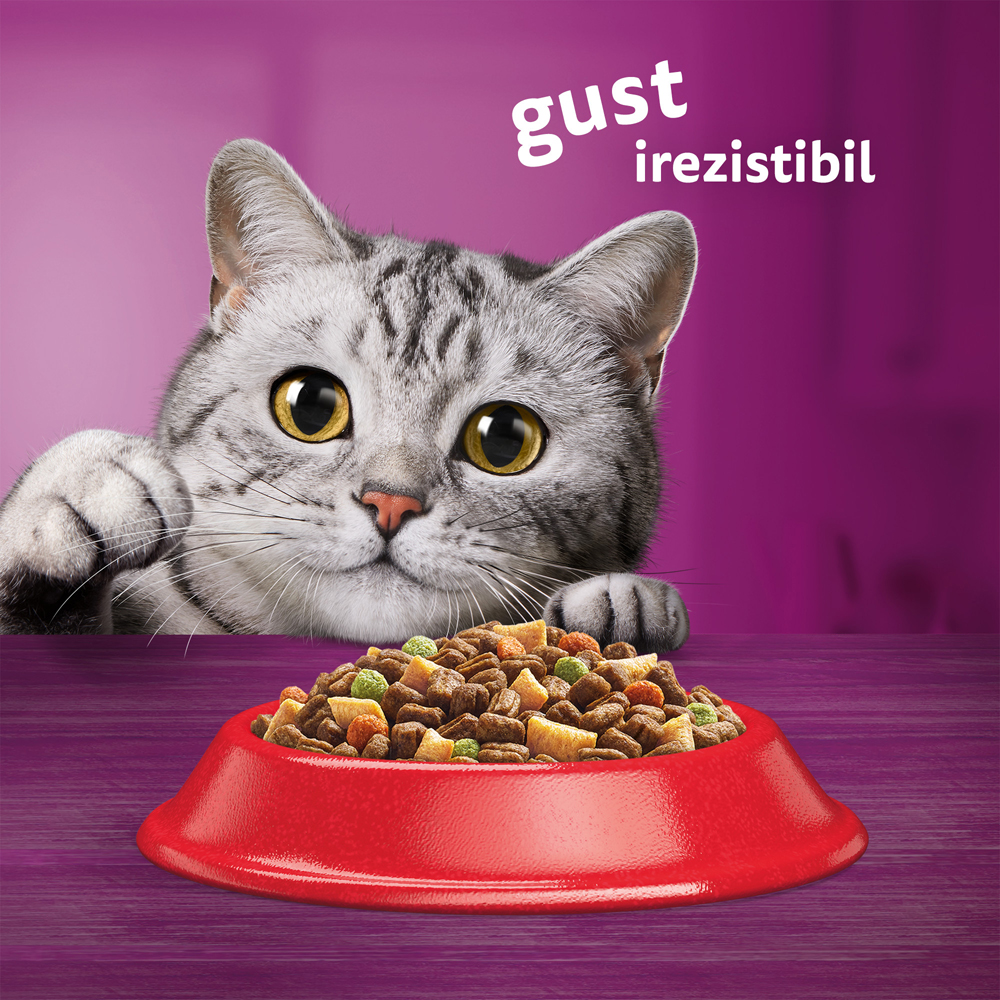 Hrana uscata pentru pisici WHISKAS, Adult, Vita, 14 kg