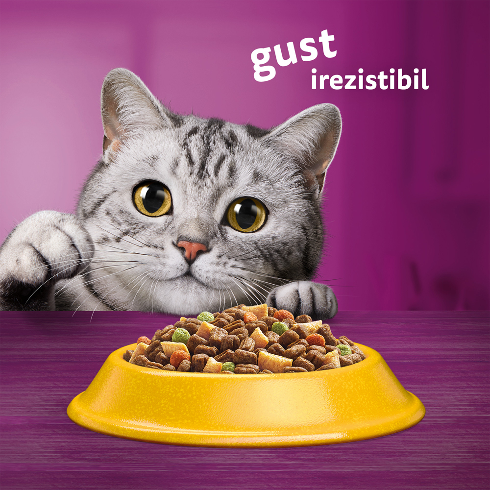 Hrana uscata pentru pisici WHISKAS, Adult, Pui, 14 kg