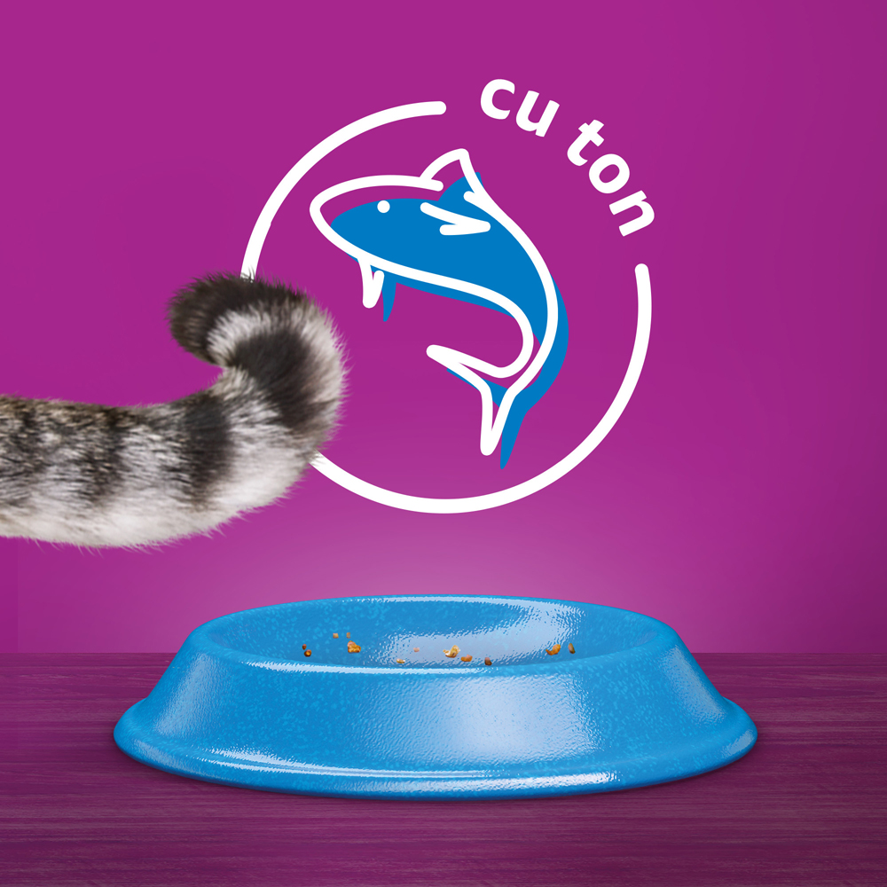 Hrana uscata pentru pisici WHISKAS, Adult, Ton, 14 kg