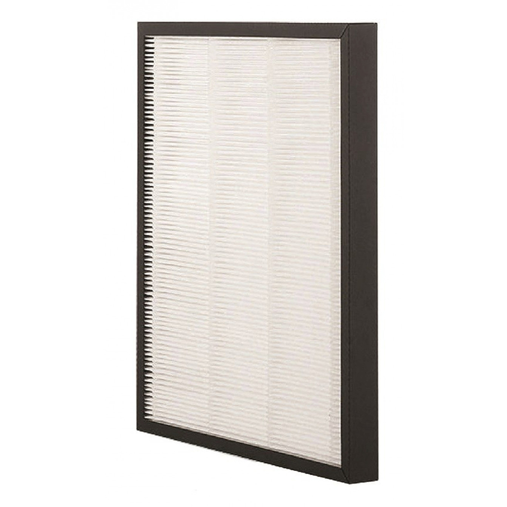 Filtru HEPA pentru ALECOAIR D20/D30 Grande