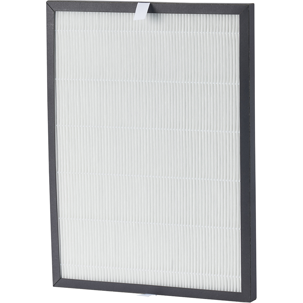 Filtru HEPA pentru ALECOAIR D55