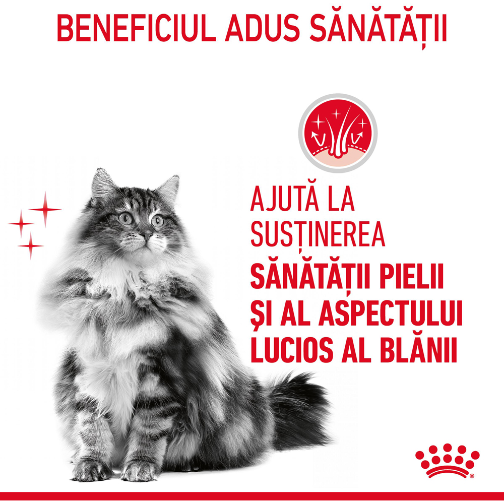 Hrana umeda pentru pisici ROYAL CANIN FCN Hair&Skin Care Gravy, Adult, Peste, 85 g